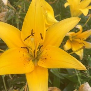 Meet your Posher, Keeley